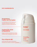 BARELY THERE Lightweight Moisturizer