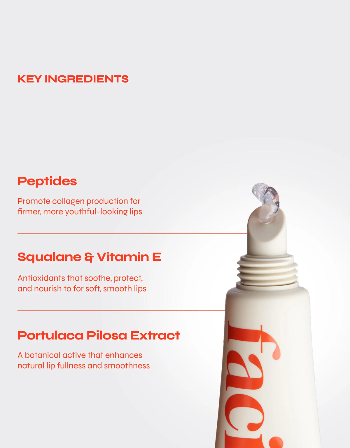 PEPTIDE LIP JELLEY moisturizer